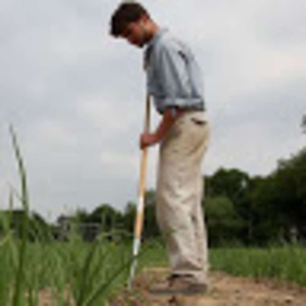 Meet your Posher, Bourcard